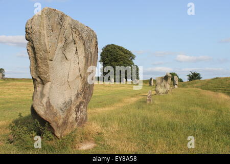 Avebury Stone Circle, Avebury, Wiltshire, Inghilterra, Regno Unito Foto Stock