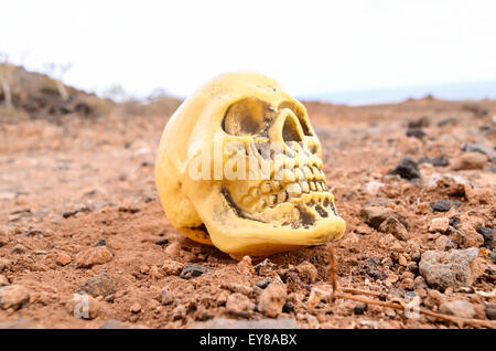 Abbandonato il teschio umano Foto Stock