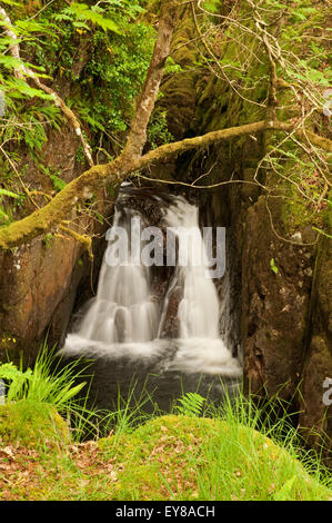 Cascata sul Buchan masterizzare in Glen Trool Foto Stock