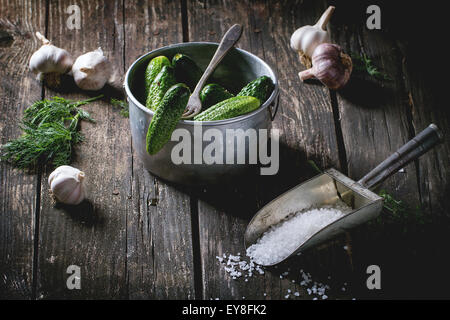 Preparazione di basso-sale di cetrioli sottaceto Foto Stock