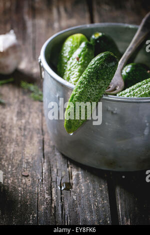 Preparazione di basso-sale di cetrioli sottaceto Foto Stock