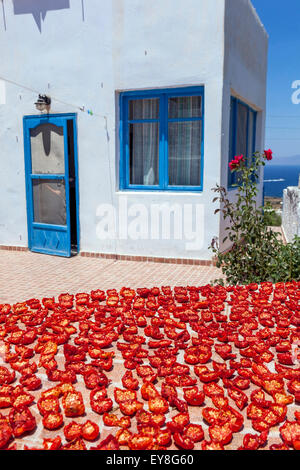 Pomodori rossi che seccano il sole su una terrazza con pareti tradizionali bianche e finestre blu a Oia. Autentica produzione di cibo. Isola di Santorini, Grecia Foto Stock
