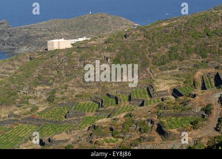 Isola di Pantelleria (Sicilia, Italia), tipica casa chiamata dammuso Foto Stock