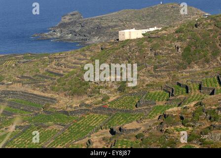 Isola di Pantelleria (Sicilia, Italia), tipica casa chiamata dammuso Foto Stock