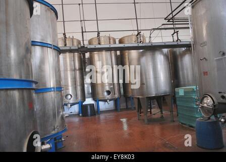 Isola di Pantelleria (Sicilia, Italia), la cantina cooperativa per la produzione del famoso vino di paglia Passito Foto Stock