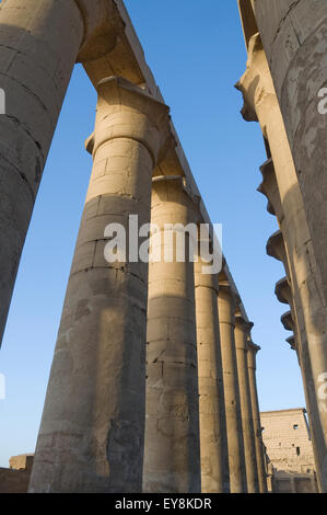 Luxor, Egitto. Tempio di Luxor (Ipet resyt): il colonnato del faraone Amenhotep III Foto Stock