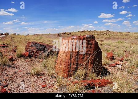 Legno pietrificato log in piedi contro il cielo blu e nuvole. Parco Nazionale della Foresta Pietrificata, Arizona, Stati Uniti d'America Foto Stock