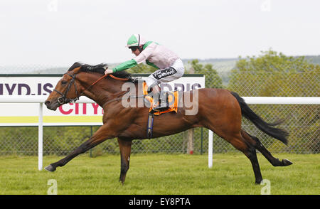 Jim Crowley cavalcare la Corsica , vincendo il 888sport Festival picchetti (elencati di gara) a Goodwood racecourse caratterizzate da: Jim Crowley dove: Goodwood, Regno Unito quando: 23 Maggio 2015 Foto Stock