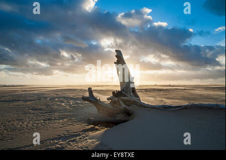 Casino Beach, la spiaggia più lunga del mondo; Rio Grande do Sul - Brasile Foto Stock