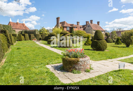 Giardini e topiaria da a Great Dixter, una casa di campagna da Edwin Lutyens e giardino da Christopher Lloyd in Northiam, East Sussex Foto Stock