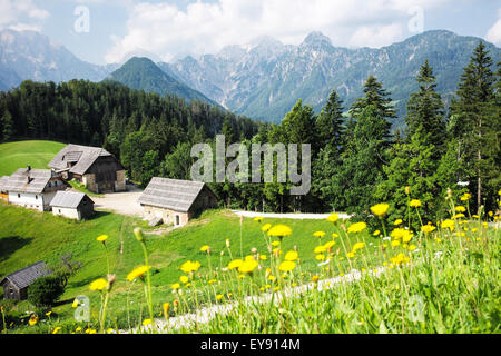 Vista dalla panoramica strada Solcava, Slovenia Foto Stock