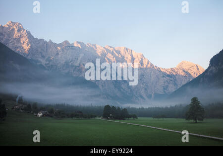 Prato erboso sotto una nuvola bassa all'alba nella Logarska dolina della Slovenia Foto Stock