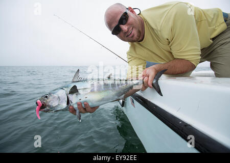 Fisherman contiene false tonno bianco alalunga; Cape Cod, Massachusetts, Stati Uniti d'America Foto Stock