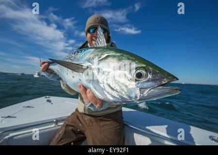 Fisherman holding false albacor; Cape Cod, Massachusetts, Stati Uniti d'America Foto Stock