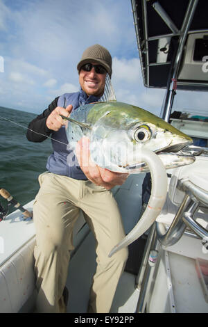 Fisherman detiene un fresco catturato false tonno bianco alalunga; Cape Cod, Massachusetts, Stati Uniti d'America Foto Stock