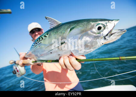 Fisherman detiene un fresco catturato false tonno bianco alalunga; Cape Cod, Massachusetts, Stati Uniti d'America Foto Stock