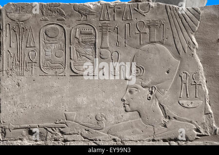 Luxor, Egitto. Tempio di Luxor (Ipet resyt): il faraone Horemheb e la sua cartouches Foto Stock