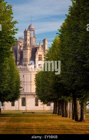 La mattina presto su Chateau de Chambord, Loir-et-Cher, Centre, Francia Foto Stock