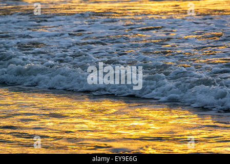 Oceano Pacifico inondate di luce dorata al tramonto nella stessa, Ecuador Foto Stock