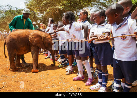 Scolari guardando un orfano dell' elefante africano (Loxodonta africana) all'Sheldrick l'Orfanotrofio degli Elefanti; Nairobi, Kenya Foto Stock