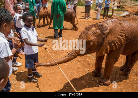 Scolari guardando un orfano dell' elefante africano (Loxodonta africana) all'Sheldrick l'Orfanotrofio degli Elefanti; Nairobi, Kenya Foto Stock