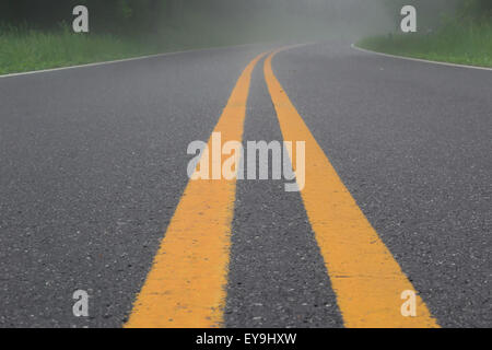 Skyline Drive è tranquilla in una nebbiosa mattina a metà maggio Foto Stock