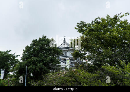 Parco del Castello di Hamamatsu,città di Hamamatsu,Prefettura di Shizuoka, Giappone Foto Stock