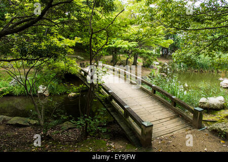 Parco del Castello di Hamamatsu,città di Hamamatsu,Prefettura di Shizuoka, Giappone Foto Stock