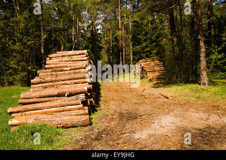 alberi tagliati Foto Stock