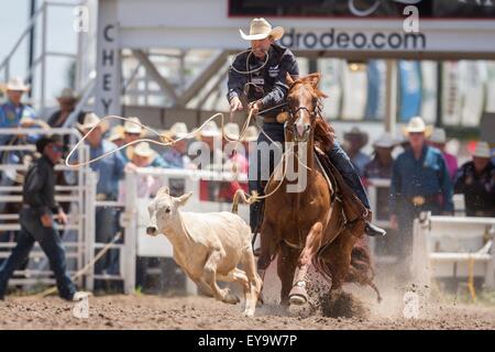 Cheyenne, Wyoming negli Stati Uniti. Il 24 luglio, 2015. Il tirante verso il basso Roping rider legname Moore corde il suo vitello durante il Cheyenne Frontier Days rodeo di frontiera Arena Parco Luglio 24, 2015 in Cheyenne Wyoming. Giorni di frontiera celebra le tradizioni del cowboy del west con un rodeo, parata e fiera. Foto Stock