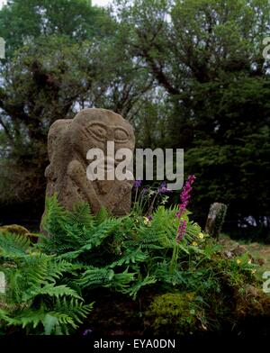 Il Janus Pietra, Boa Isola Co Fermanagh, Irlanda Foto Stock