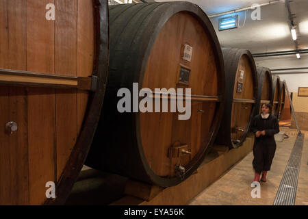 Guebwiller, Francia, old Eichenfaesser in cantina Domaines Schlumberger Foto Stock