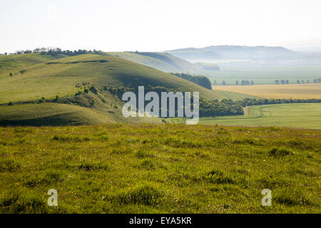 Chalk scarpata nebbia giacente su campi nella valle di Pewsey, vicino ad Alton Barnes, Wiltshire, Inghilterra, Regno Unito Foto Stock