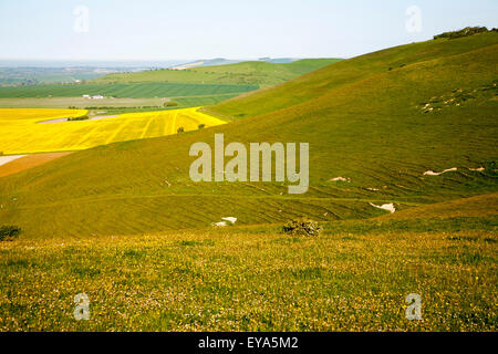 Chalk scarpata nella valle di Pewsey, dal latte Hill, vicino ad Alton Barnes, Wiltshire, Inghilterra Foto Stock