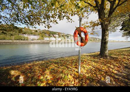 Vita da boa del fiume Lee In Munster regione; la città di Cork, nella contea di Cork, Irlanda Foto Stock