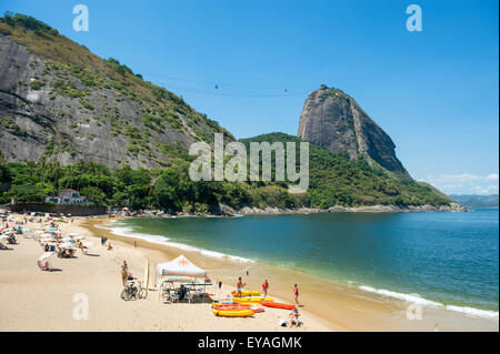 RIO DE JANEIRO, Brasile - 24 Marzo 2015: lucertole da mare rilassatevi sulla Praia Vermelha Red Beach sotto Sugarloaf Mountain. Foto Stock