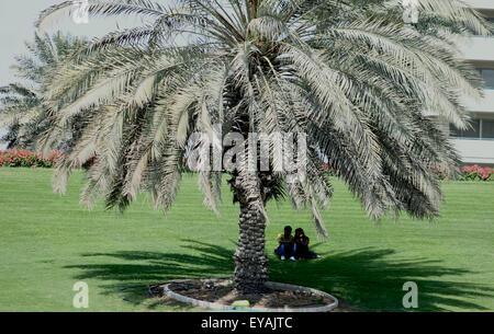 Gli amanti sul verde dei prati, sotto un albero di palma Foto Stock