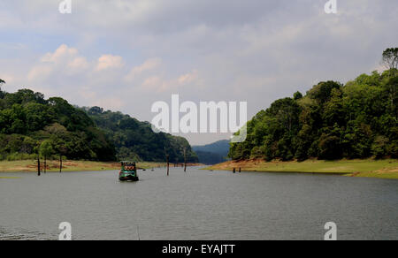 Imbarcazione da diporto guadare attraverso la struttura essiccato rimane del Periyar Riserva della Tigre e la vita selvatica Santuario Lago in Thekkady Foto Stock