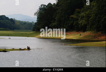 Donne tribali la pesca presso la banca di Thekkady Lago, parte di del Periyar Riserva della Tigre e la vita selvatica Santuario in Idukki, Kerala Foto Stock