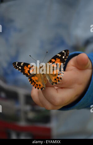Un dipinto di lady butterfly arroccato su un bambino la mano. Foto Stock