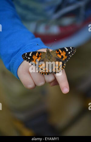 Un dipinto di lady butterfly arroccato su un bambino la mano. Foto Stock