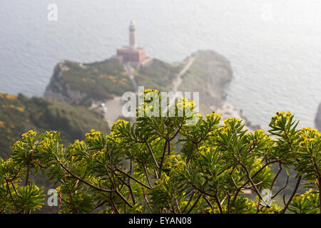 Faro di Punta Carena sull' isola di Capri in Italia Foto Stock