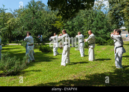 Mosca, Russia. Xxv Luglio, 2015. Città di Mosca Giochi Sport 2015 festival ha avuto luogo presso la Olympic Sport Luzhniky complessi della città di Mosca. Il karate non identificato gli sportivi nel parco. © Alex Immagini/Alamy Live Foto Stock