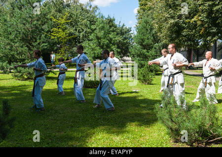 Mosca, Russia. Xxv Luglio, 2015. Città di Mosca Giochi Sport 2015 festival ha avuto luogo presso la Olympic Sport Luzhniky complessi della città di Mosca. Il karate non identificato gli sportivi nel parco. © Alex Immagini/Alamy Live Foto Stock