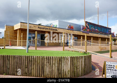 Skegness Acquario Torre Esplanade Skegness Lincolnshire UK Foto Stock