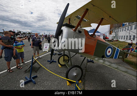 Vancouver, Canada. Xxv Luglio, 2015. I visitatori osservano un aeromobile vintage sul display al confine Bay air show in Delta, Canada, 25 luglio 2015. Onorando il settantesimo anniversario della fine della II Guerra Mondiale, l'air show di quest'anno mette in mostra vari aerei vintage e dimostrazioni di volo durante l'evento. © Liang sen/Xinhua/Alamy Live News Foto Stock