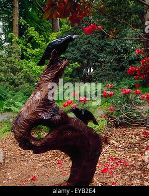 Fernhill giardini, Co Dublin, Irlanda; scultura Raven Foto Stock