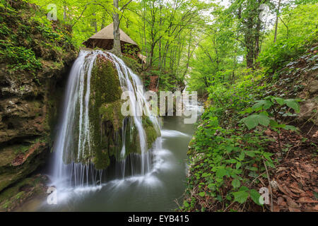 Bigar cascata cade nella Nera Beusnita Gorges National Park, Romania Foto Stock