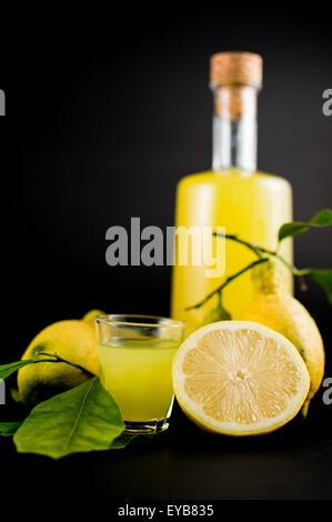 "Limoncello" è il liquore tradizionale distillato dalla buccia di limoni (chiamato sfusato amalfitano) prodotte in tutta la Costa Foto Stock