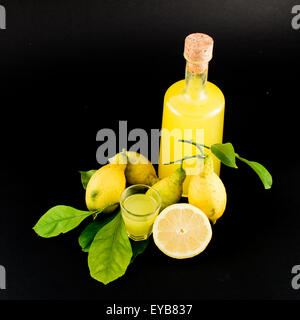 "Limoncello" è il liquore tradizionale distillato dalla buccia di limoni (chiamato sfusato amalfitano) prodotte in tutta la Costa Foto Stock